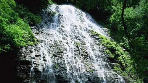 高端高效智能化